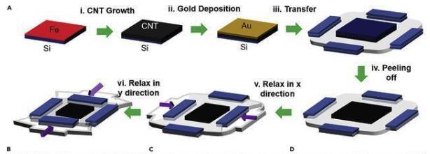 首页| PG电子游戏中国区官方网站