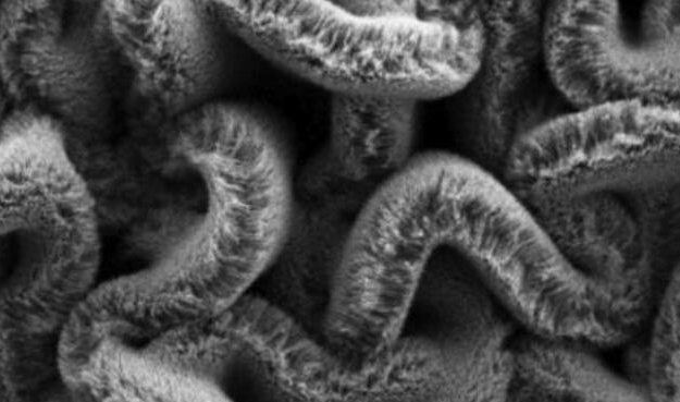 行业新闻：可拉伸的超等电容器，为柔性可穿戴设备铺路